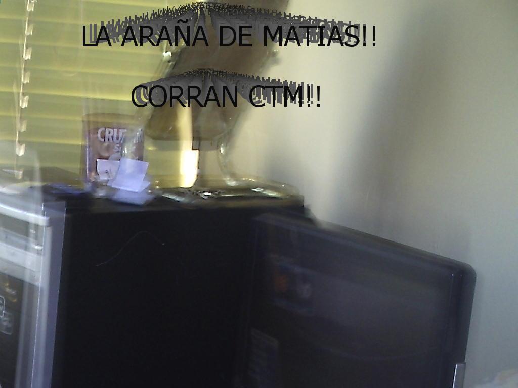 corrandematias