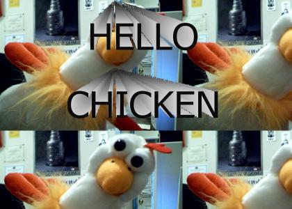 hello chicken!