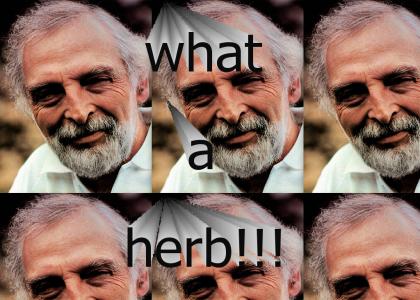 what a HERB!!!!! LOLZ!!
