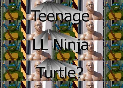 real life ninja turtle?
