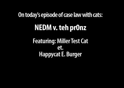 Miller Test cat is judging you
