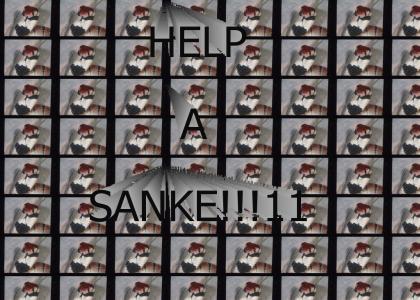 Help a SANKE!