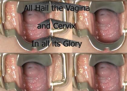 All Hail the Mighty Vagina