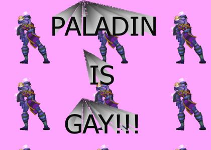 The World of Warcraft Class: Paladin.