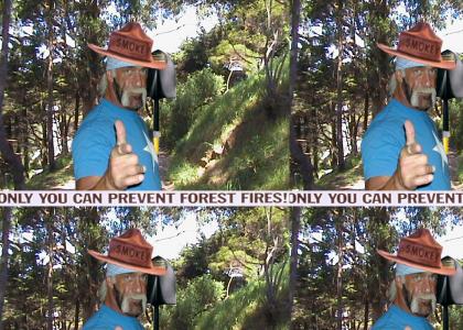 Only Hulkamania can prevent Forest fires