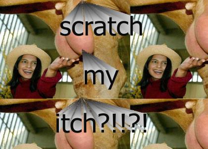Scratch my itch !!!