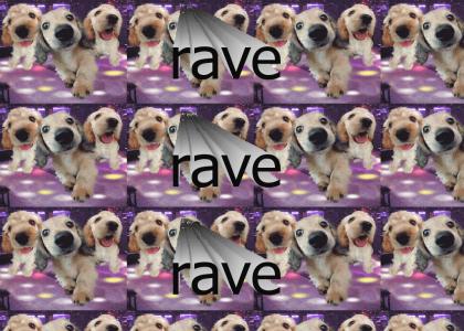 raving puppies