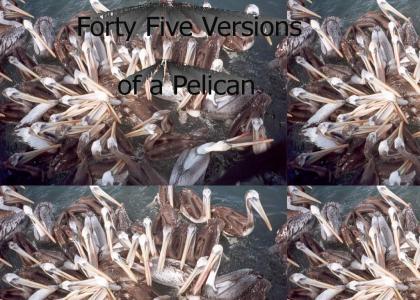 45 versions of a pelican