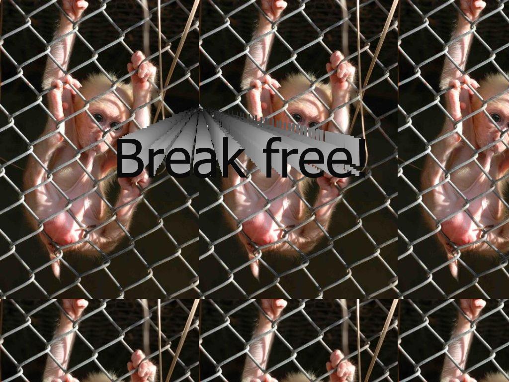 freemonkeycage