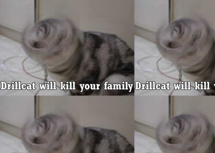 Drillcat