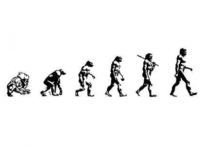 evolution of man