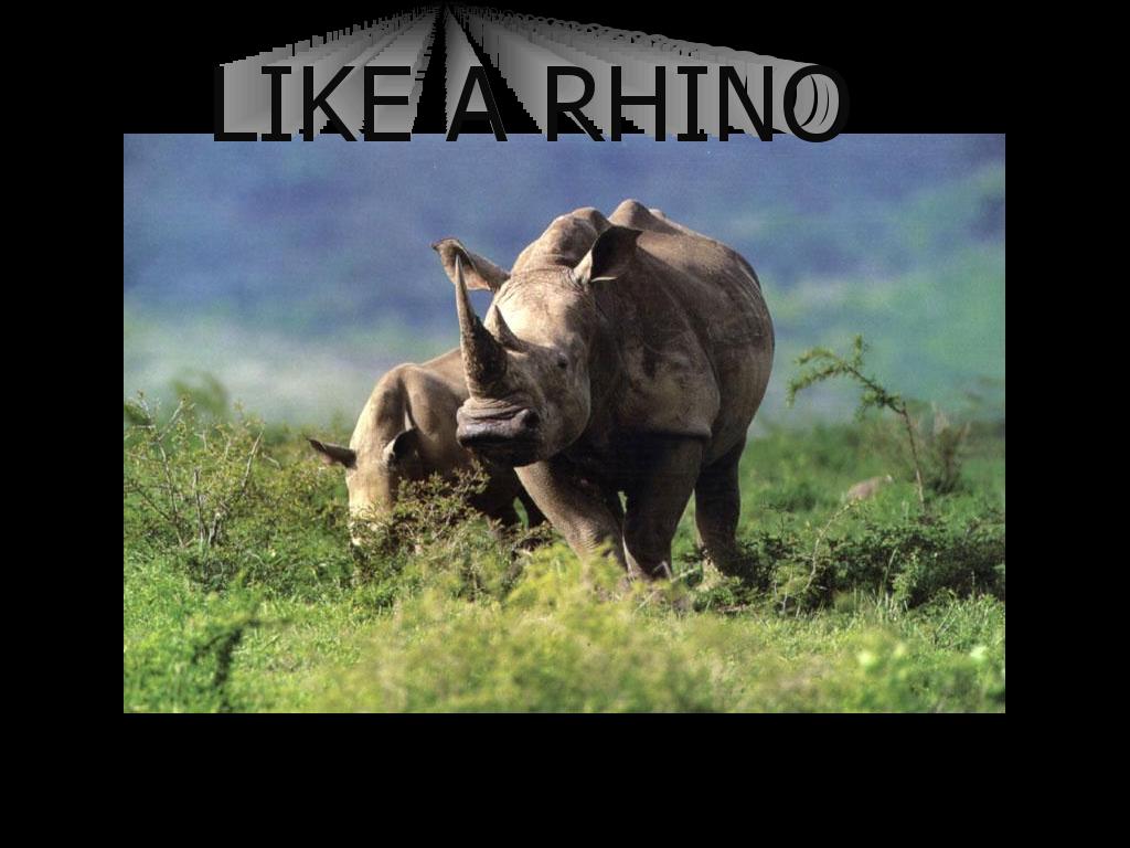 likearhino