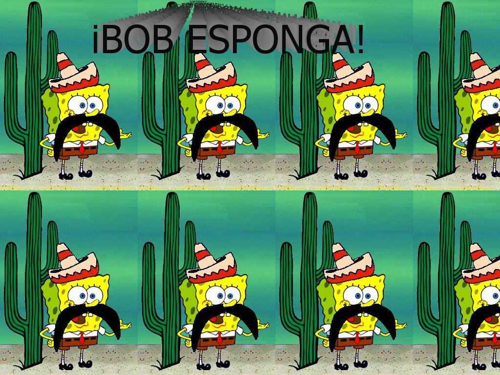 bobesponga