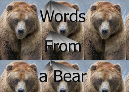 A Few Words From A Bear