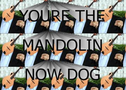 You're the mandolin now dog
