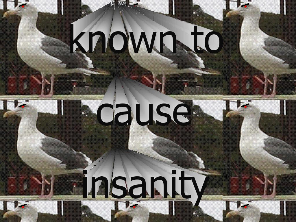 dementedseagull