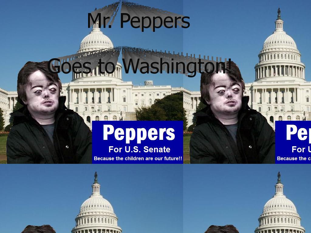 senatorbrianpeppers