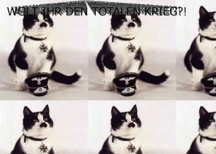 Hitler Kitty
