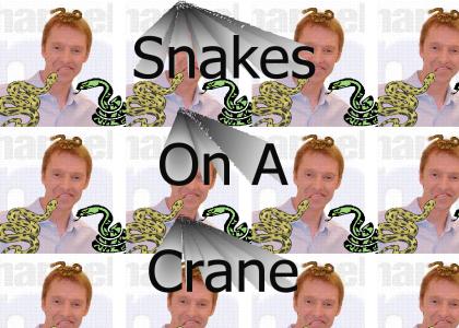 Snakes on a Crane