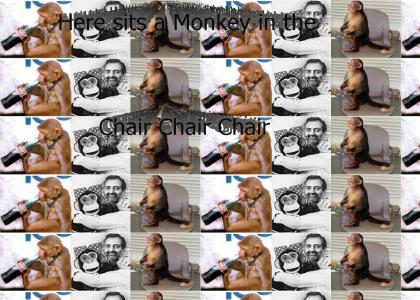 Raffis Pet Monkeys