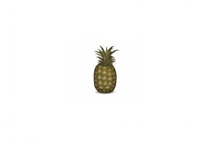 A pineapple