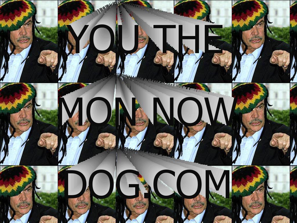youthemonnowdog