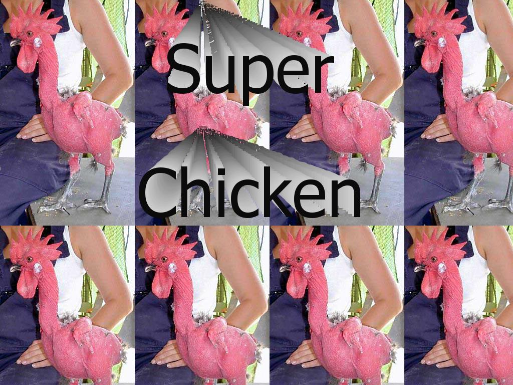 superchickens
