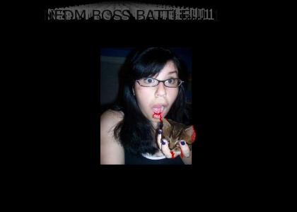 SUPER NEDM BOSS BATTLE