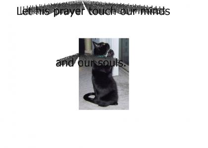 Cat prays for our souls