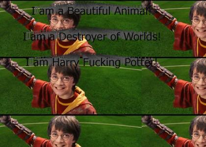 Harry Potter, Destroyer of Worlds