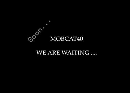 Mobl2 - We are waiting