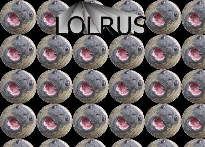 lolrus rave