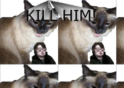 kill brian kitty
