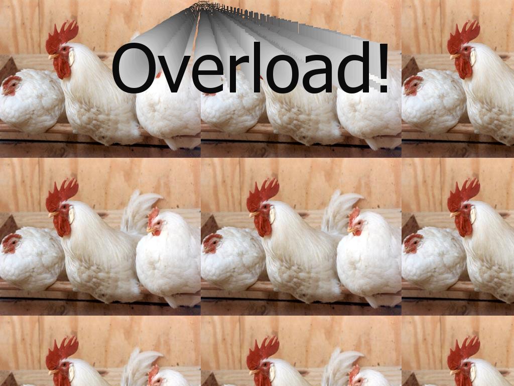 chickenoverload
