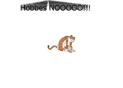 Hobbes NOOOOO!!!