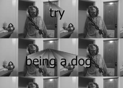 Try Being a Dog