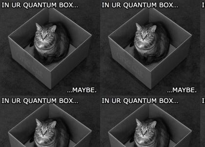 Quantum Cat Is In Your...