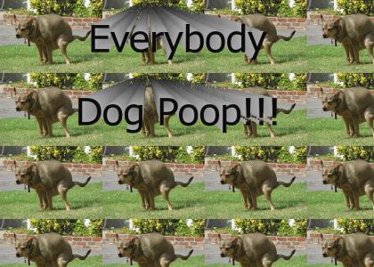 Everybody Dog Poop!