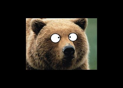 Cross-eyed Bear