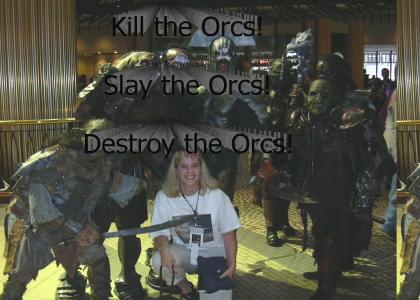 DESTROY THE ORCS!!!!