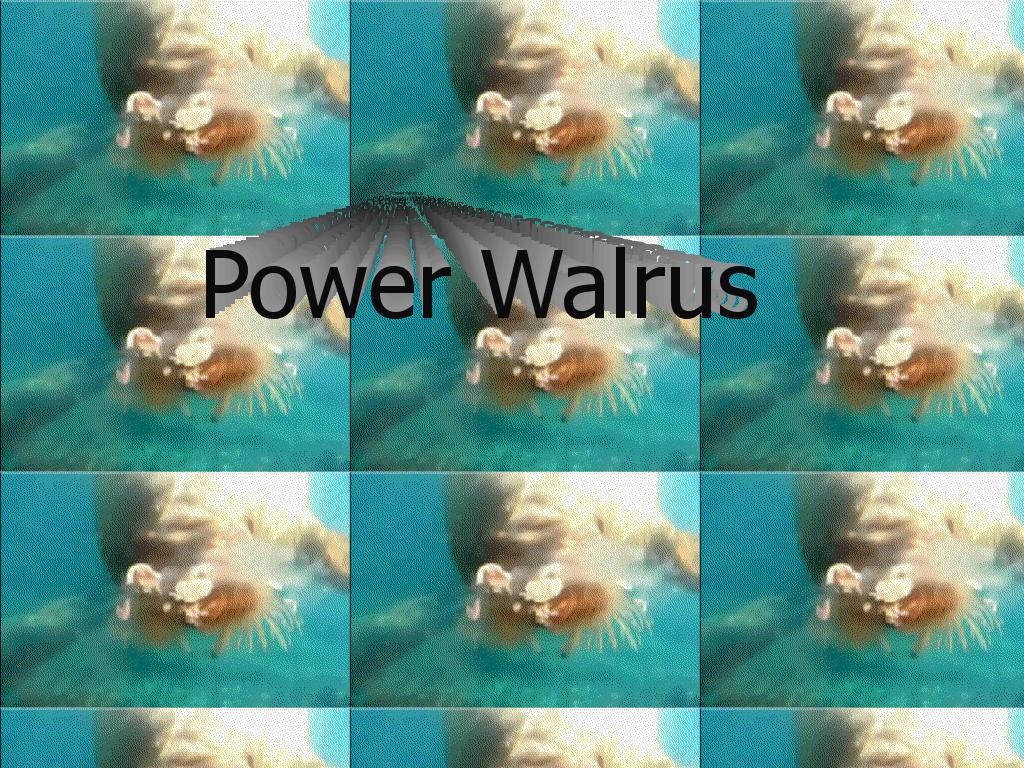 powerwalrus