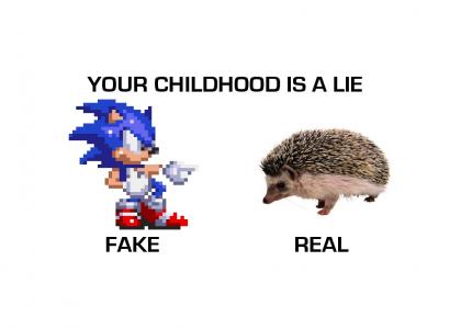 Hedgehog Vs Hedgehog