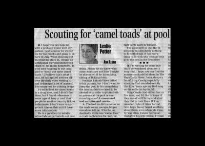 I was just wondering... what's a "Camel Toad"?