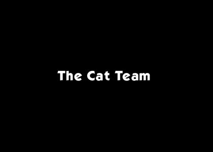 The Cat Team Defends the Safety Of Cats