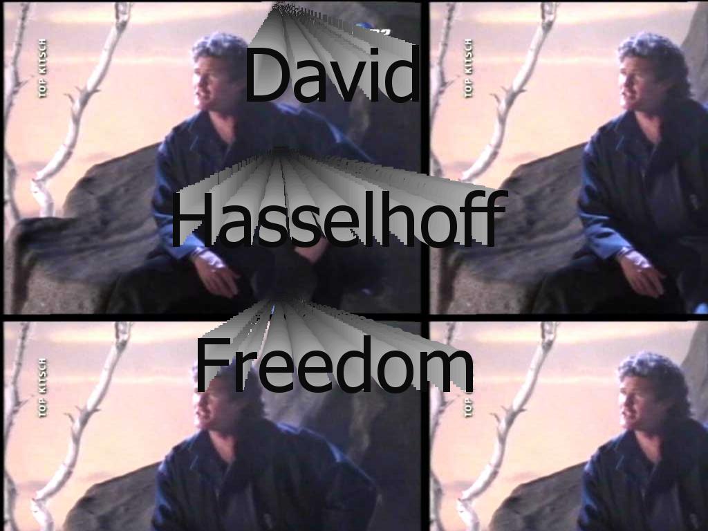 hasselhofff