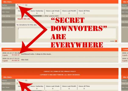 Secret Down-Voters