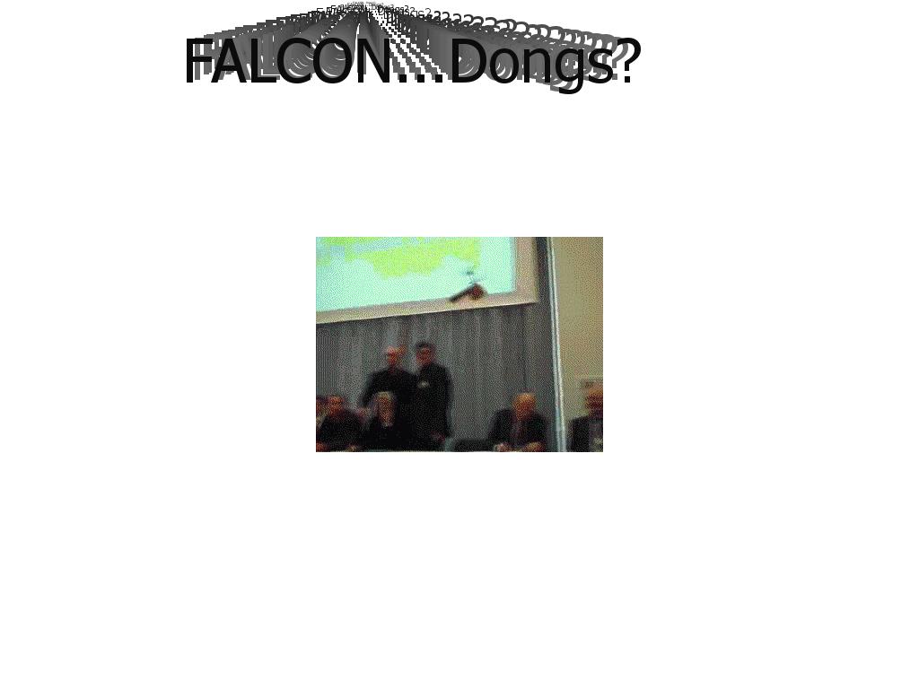 falcondongs