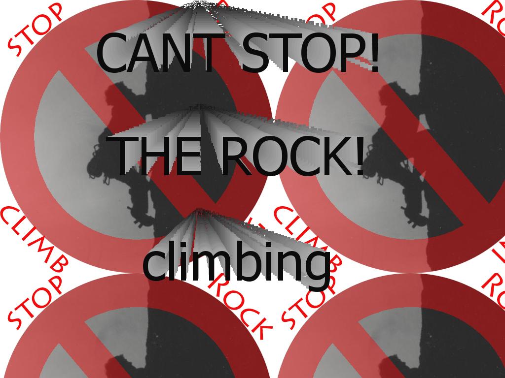 stoptherockclimbingcatstop