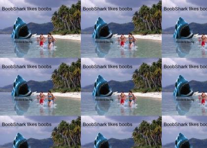 BoobShark likes boobs