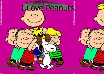 Tribute to Peanuts